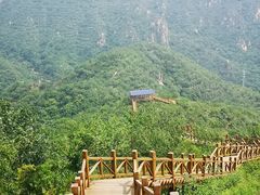 -大岭沟猕猴桃谷风景区