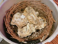 高压锅竹笼蒸蚝-蚝堡海鲜·威海菜·海肠捞饭·烧烤·亚洲吃蚝公司(幸福门店)