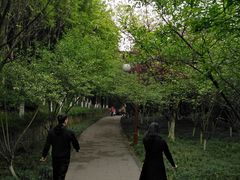 -重庆彩云湖湿地公园