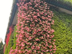 -夏朵花园(复兴西路店)