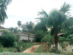 -椰树岛海滩度假村