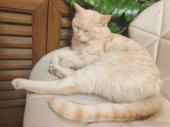 -小时光咖啡馆(北锣鼓巷店)