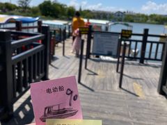 -上海长兴岛郊野公园