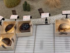 -OUR Bakery(SKP-S店)