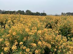 -中国天府农业博览园