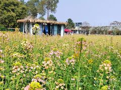 -洪湖家庭农场·团建·露营·会议