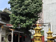 -华林禅寺