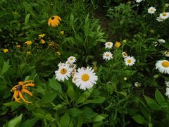 -国际非物质文化遗产博览园