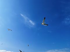-海驴岛(荣成市)