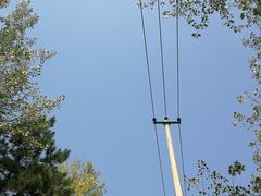 入口处的蓝天-合肥滨湖国家森林公园