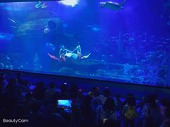 -多彩贵州城极地海洋世界