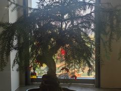 -北京邮电会议中心