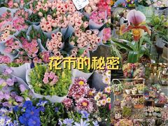 -瑞虹新天地月亮湾