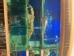 -南海渔村(珠江新城店)