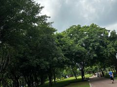 -顺峰山公园