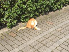 -苏州河梦清园环保主题公园