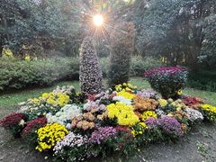 -杭州植物园