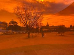 -金泽21世纪美术馆