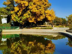 -石家庄市植物园