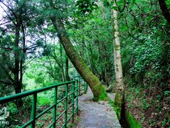 -苍山感通索道