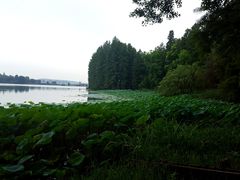 -东湖落雁景区