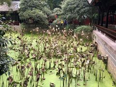 -成都武侯祠博物馆