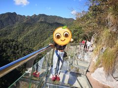 -千岛湖石林