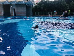 -天安数码城会所游泳馆