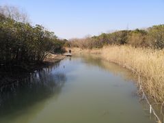 -上海吴淞炮台湾国家湿地公园