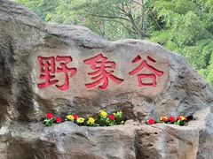 -野象谷景区