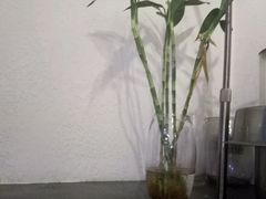 -同福小馆(北摆宴街店)