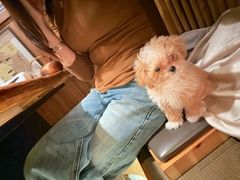 -牛道·和牛九食(市府恒隆广场店)