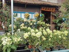 -桂林市花鸟市场
