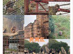 -南昌动物园