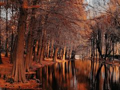 -上海共青森林公园