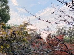 -青岛海滨风景区