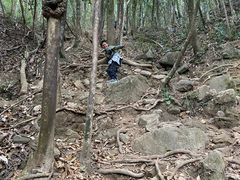 -鸡枕山