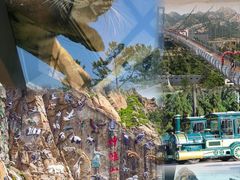 -西霞口神雕山野生动物世界