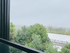 -上海崇明金茂凯悦酒店