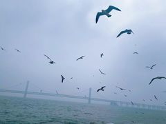 -星海广场