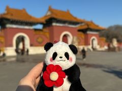 -北陵公园