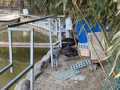 -春晖园度假酒店温泉