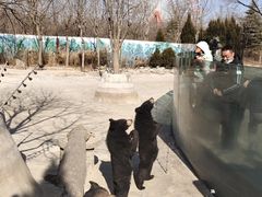 -济南野生动物世界