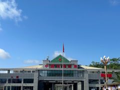 -打洛口岸