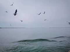 -乌梁素海景区