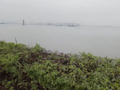 -海鸥岛