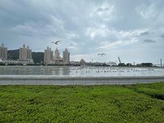 -星海广场