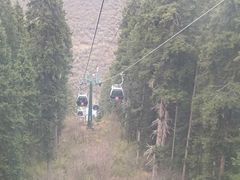 -黄龙山原始森林景区