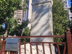 -团结湖公园