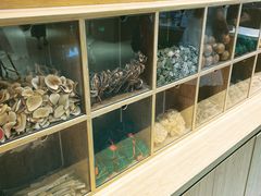 水产区-炖物24章·顺时轻养茶(黄龙店)